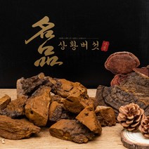 [절편발송] 상황버섯 /40년산 1kg/자연산 정품 산뽕나무상황버섯/국내최상급상황버섯/ 고급포장
