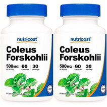 뉴트리코스트 콜레우스 포스콜리 500mg 캡슐, 60개입, 2개