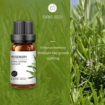 EVOKE-포크 에센셜 오일 10ML 아로마 디퓨저용 가습기 마사지 캔들 비누 제조 100% 자연 라벤더 자스민 로즈, [01] 10ml, [23] Rosemary