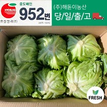 <해돋이농산> 국내산 벌크 양상추 ( 특 ) 6통 12통” class=”wr-img”></a></div>
</p></div>
</p></div>
</p></div>
<div class=
