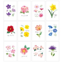 마음담아 골라사는 60장세트 귀여운 감성 엽서 세트 모음, 21. 플라워가든(봉투x)