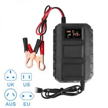 인산철 충전기 자동차 오토바이 배터리 스마트 20A 납산 12V, AUS Plug