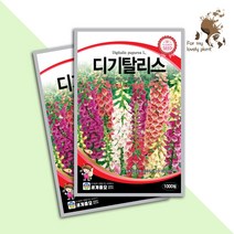 디기탈리스 1000립 세계종묘 화훼류 씨앗