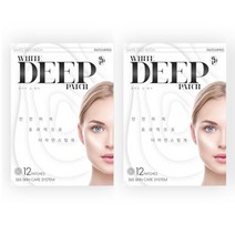 패치프로 화이트딥패치2BOX, 2개, 12매입