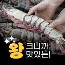 자연산 킹타이거 새우 1마리 최대 400g, S.킹타이거 1미 230-289g 31cm내외, 1개