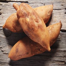 국내산 신선한 햇 야콘 생야콘 특/상품 즙용 5kg 10kg [꼭지네농산물], 즙용 10kg(깨지고.갈라짐 있음)