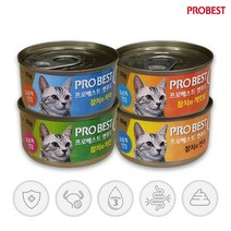 프로베스트 캣푸드 고양이 간식캔, 참치 + 치킨 혼합맛, 24개입