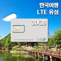 한국여행유심 KT통신망 30일 데이터전용, 30일 LTE 30GB