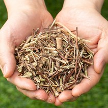 국산 인동덩쿨 400g 덩굴 인동초 꽃 금은화 차 건조 건 한방 차, 1C99_국산 인동덩쿨 200gX2