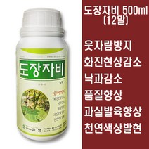 도장자비500ml(12말) - 웃자람방지 화진현상감소 낙과방지 품질향상 색상발현 착색제 모두싹과 혼용가능 부리오, 도장자비500ml (12말)