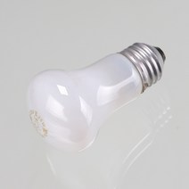 크립톤 전구색일광전구색25W E26 불투명, 단품, 1개