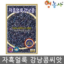 자흑얼룩 강낭콩씨앗 50립, 자흑얼룩강낭콩