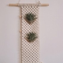 이오난사행잉