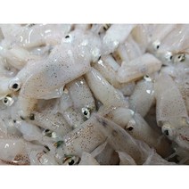 호래기 꼴뚜기500g 1kg (예약주문) 생물 호래기 생 꼴뚜기, 생호래기(생꼴뚜기) 1kg, 1개