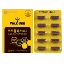 프로폴리스 포로폴리스 플로폴리스 포르폴리스 포로플리스 플로플리스 프로풀리스 플로풀리스, 60캡슐 x 6개