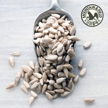 산과들에 [산과들에] 생 해바라기씨 800g x1봉, 생해씨(미국)800gx1봉