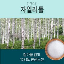 400gx1통 자일리톨 가루 설탕 대용 100% 사탕수수 건강분말 미숫가루용 천연감미료, 1개