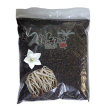 백도라지씨앗 50g/100g/200g/500g/600g/1kg/국내산 백도라지 종자, 100g