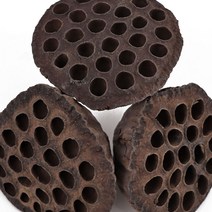 동의한재 국산 햇 연방 연자방 연꽃씨방 20송이, 단품