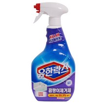 유한락스 곰팡이 제거제 600ml, 500ml, 1개