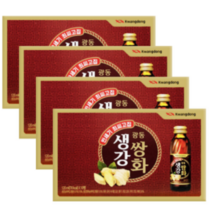 광동 생강쌍화 120ml 생강쌍화농축액, 40개