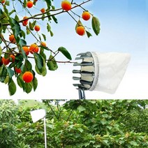 과수원 사다리no 갈퀴형 높은 과일 수확망 감귤체험 감따기 감망, E열매따개망