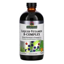 네이쳐스앤서 액상 비타민B-복합체 480ml X 1개, 기본