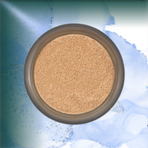 아이오페 [리필] 에어쿠션® 커버 15g, w575-23W Warm Beige (Cover／Ref, 1개