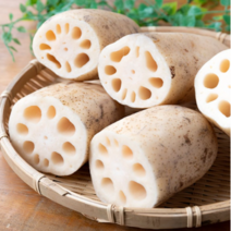 컴팜>연근 정품, 연근정품1kg +우엉(상)1kg/1box” class=”wr-img”></a></div></div></div></div><div class=