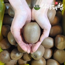 식탐대접 국내산 참다래 그린키위 특대과10개 약1.2kg, 단품