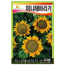 해바라기 더블썬깅 10립, 미니해바라기 선스팟  1g