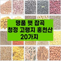 국산 햇 잡곡 20종 고랭지 강원도 홍천산 잡곡 참깨 수수쌀 호랑이줄단콩 약콩 서리태 적두 들깨 능근옥수수 밤쌀 백태 볶음땅콩 깐녹두 둥굴래 자연산, 햇잡곡:3.약콩700g