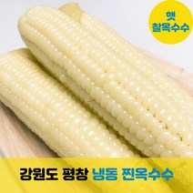 강원도 평창 찰옥수수 햇옥수수 토종 미백 냉동 찐옥수수 fresh sweet glutinous corn, 찐옥수수 20개, 20개