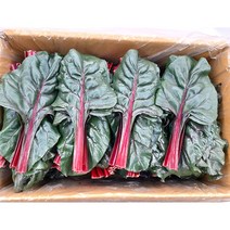 야채왕 비트잎 2kg 잎비트(실중량1.8~2KG)
