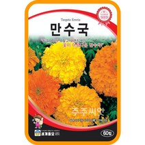 메리골드 씨앗 5종 아프리칸 프렌치 만수국 천수국 카렌듈라 꽃 봄 여름 가을 파종 꽃씨, 4.만수국(아프리칸메리골드)60립