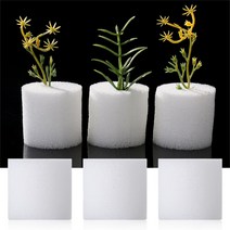 수경재배키트 무토양 수경 야채 보육 냄비 스폰지 꽃 씨앗 재배 시스템 트레이 10 개 50, 21 white 73mm-10pcs