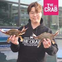더꽃게 당일조업 산지직송 태안 활꽃게, 1개, 활꽃게 3kg (9-18미/생물 얼음포장)