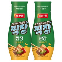CJ 해찬들 찍장 튜브형 쌈장 300g, 2개