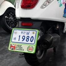 S-one 베스파 슈퍼커브 스쿠터 미니쿠퍼 바이크 번호판가드, 라이트그린