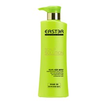 이스터 지루성 두피 샴푸, 1개, 500ml