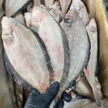 국산 반건조 물가자미 기름가자미 중 10미, 반건조 물가자미 대 10마리+10마리