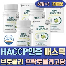 HACCP인증 남자 매스틱 검 브로콜리 프락토올리고당 그리스산 양배추 회화나무 유산균 분말 정 가루 파우더 원물 참좋은 올바른 복용방법 가격 3개월 MASTICGUM 메스틱 오일