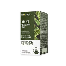 내츄럴플러스 차태현 위건강 헬리코박터케어 60정 / 감초추출물 위점막보호, 60정(1개월) x 2개