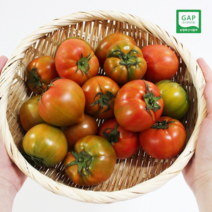 당도보장 대저 짭짤이 토마토 2.5kg, 프리미엄 2.5kg 선물용 2S