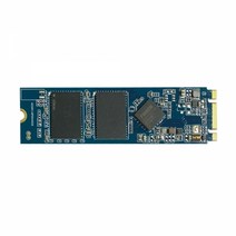 파이슨 S981 M.2 2280 256GB (벌크)