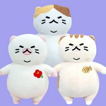 제주 냥이 뚱냥이 동백순이 25cm 애착 인형 고양이