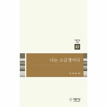 나는 소금쟁이다 63 푸른 사상 시선, 상품명