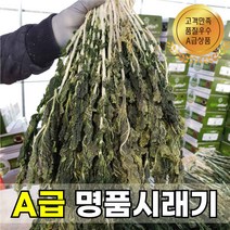 [숙이네농장] 2023 강원도 양구펀치볼시래기 산지직송 무청 건시래기 1kg 2kg 3kg 업소용, 건시래기 2kg