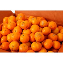 [조은돌담] 제주직송 새콤달콤 하우스감귤 우리아이간식 꼬마(한입)소과 1.5kg/2.5kg/4.5kg, 4.5kg, 1박스