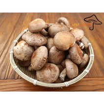 아라표고버섯 생 표고버섯, 1개, 3kg